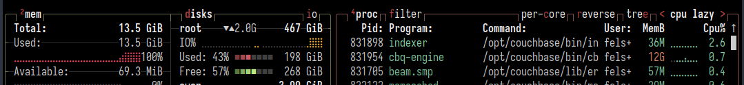 Memory Exhaustion - Btop