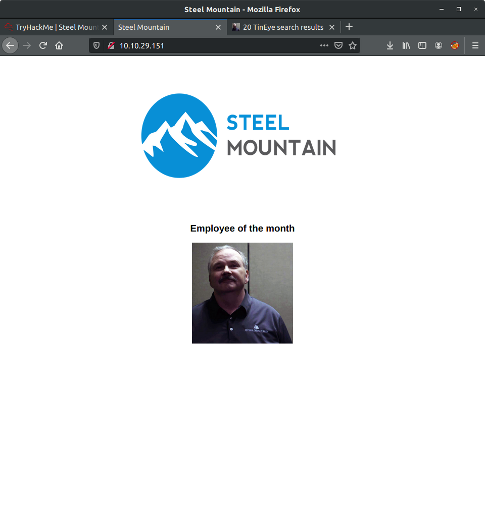 Steel Mountain Website - Bill Harper